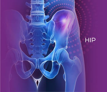 Hip